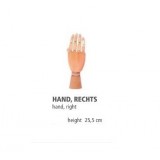 Presentatie Hand Hout Rechts Houten Display Hand